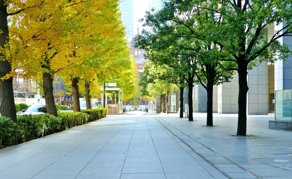 City sidewalks: take inspiration from sidewalks around the globe 1 commercial concrete contractor in kansas city | k&e flatwork