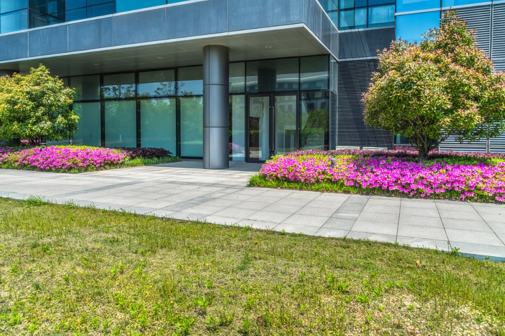 pathway and garden landscape on the entrance of the building